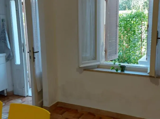 Casa Nel Centro Storico A Loreto, 2 Km Dal Mare Casa vacanze *